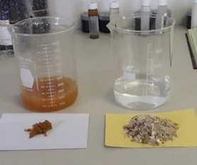 Side-by-side beaker comparison of raw wastewater and Greenleaf's treated water output